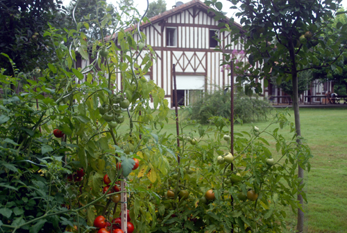 Les Arbousiers : auberge & maison d'hôtes à Sabres en région Aquitaine dans les Landes (40)